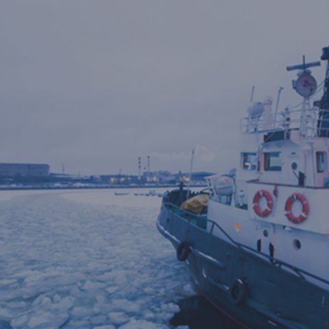 Slutsatser från Mistras arktiska program presenteras