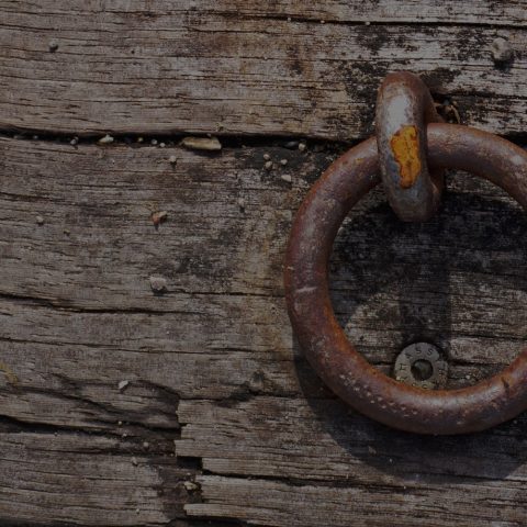 Myrsteg inte nog – stora kliv behövs