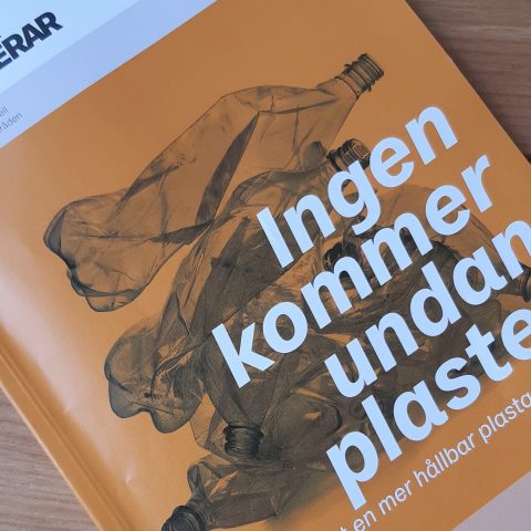 Mistras skrift om plast väckte elevernas intresse