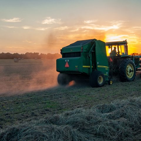 Ny rapport om ökad kolinlagring i jordbruksmark