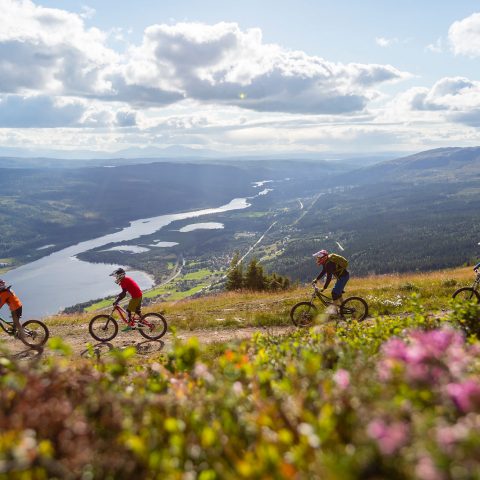 Mistra Sport & Outdoors spränger gränser i lärandegrupper