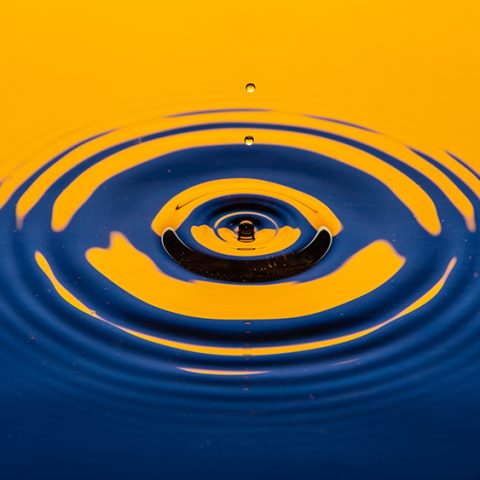 Doktorander väver samman akademi och kommun