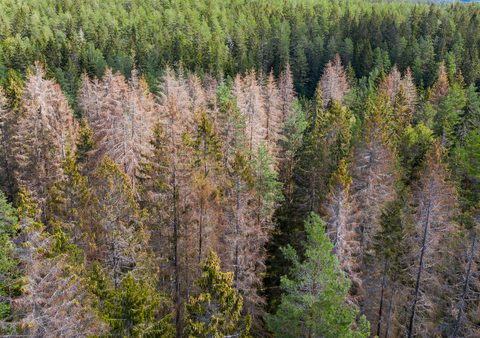 Heurekasystemet uppdaterat för ett förändrat klimat