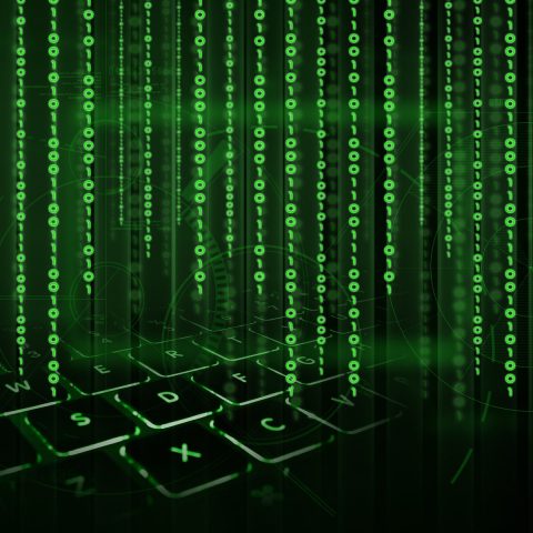 Nytt projekt om desinformation i miljöstyrning