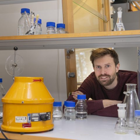 Främjar expansionen av säker, hållbar och grön kemiindustri