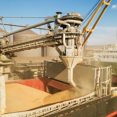 Livsmedelssektorn om hållbarhet i tider av kris och krig