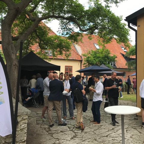 Elektrifieringen – lyft blicken från teknik till implementering