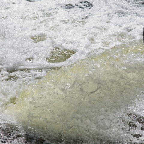 Ett år på WHO gav insikter om den globala problematiken med dricksvatten