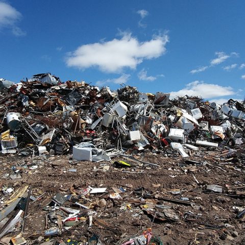 Så ska den cirkulära omställningen ta fart