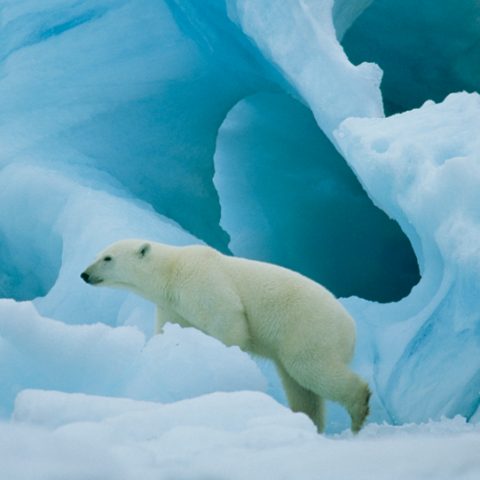 Åsiktsskillnader inget hinder, snarare en resurs