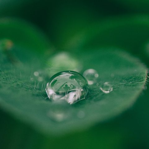 57 MSEK till Mistra TerraClean för att eliminera föroreningar