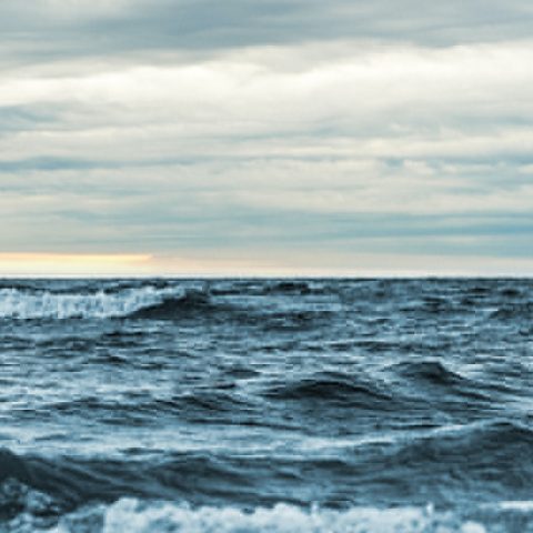 Samarbete nyckeln inom FN:s havsforskningsdekad för hållbar utveckling