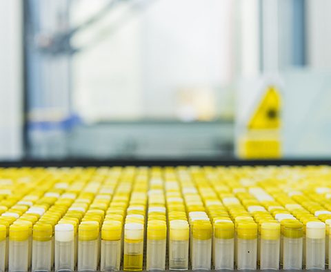 Biltillverkare, läkemedelsbolag och skogsindustrin lär av varandra