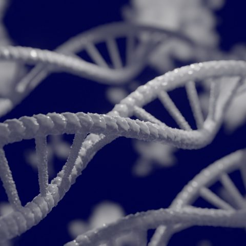 EU öppnar upp för lagändringar gällande gensaxen