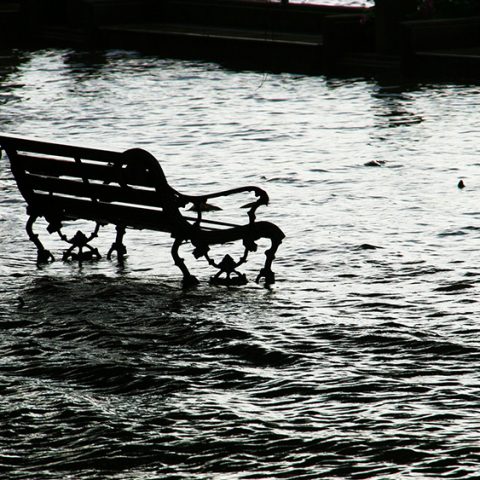 Mistras webbinarieserie lyfter klimatfrågan ur olika perspektiv