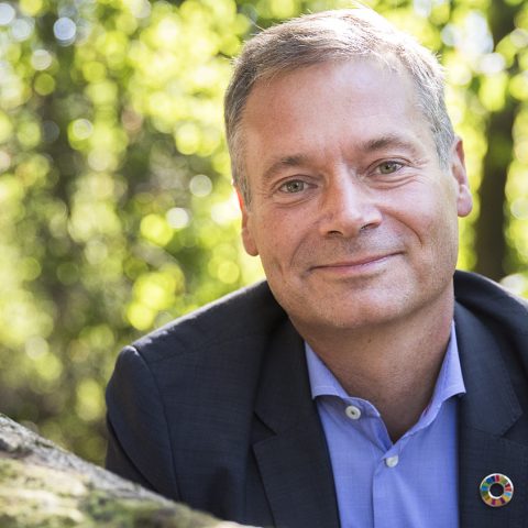 Johan Kuylenstierna tar plats i Mistras styrelse