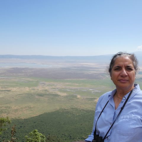 Rajni Hatti-Kaul om engagemang, medvetenhet och akademin