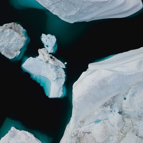 Coronapandemins påverkan på klimatarbetet – se sändning i efterhand