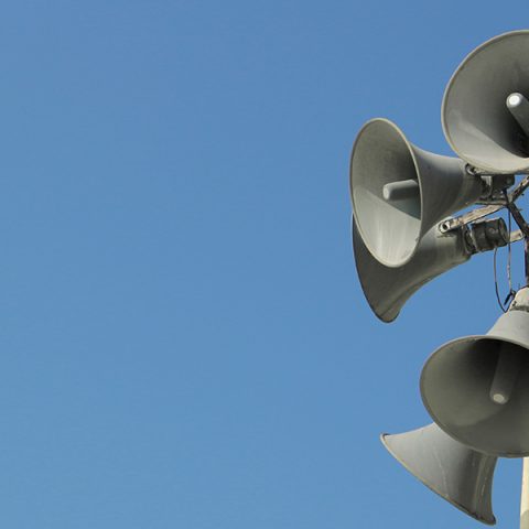 Mistra söker ny ekonomichef