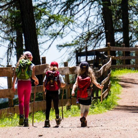 Mistra Sport & Outdoors presenterade forskning för Regeringskansliet