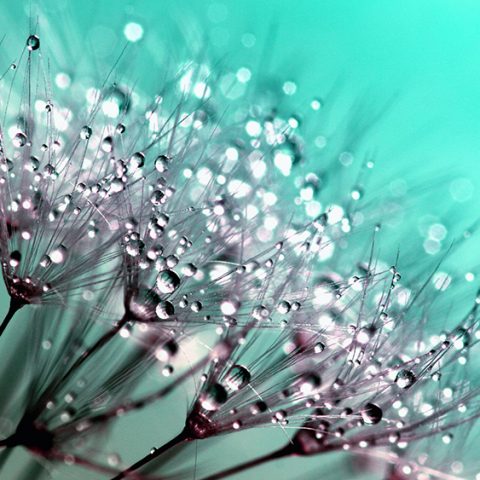 Mistras årsrapport 2020