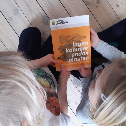 Mistra vill öka kunskapen om plast