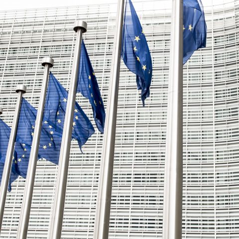 Mistra Carbon Exit om vägar framåt för EU:s klimatarbete