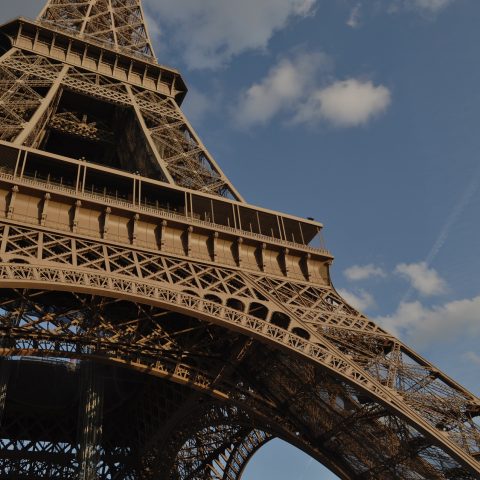 ”Ett spektakulärt år” – Mistra Fellows positiva till forskarutbyten