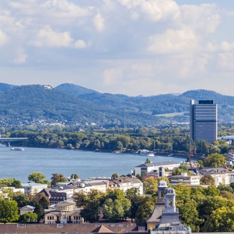 Klimataktörers attityder till ledarskap kartlagda