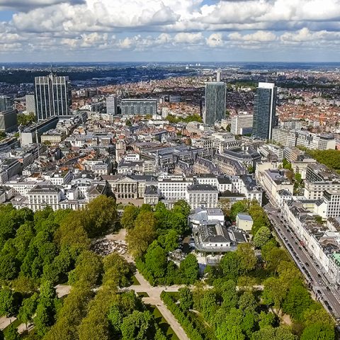 Seminarietätt i Bryssel inför EU:s nya gröna giv