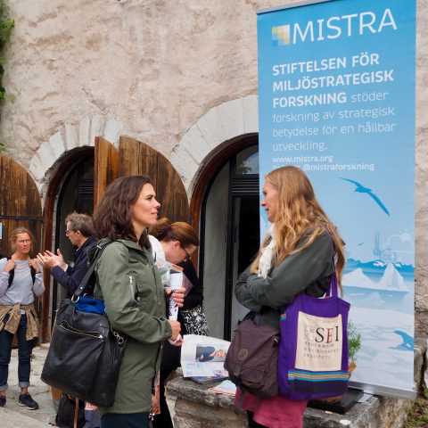 Mistra firar 25årsjubileum
