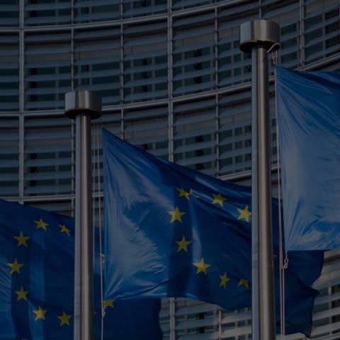 Mistra Dialog ska sprida kvalificerad kunskap