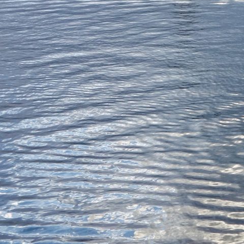 EU-workshop om vattenskydd