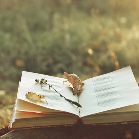 Ny bok beskriver löntagarfondsstiftelsernas historia