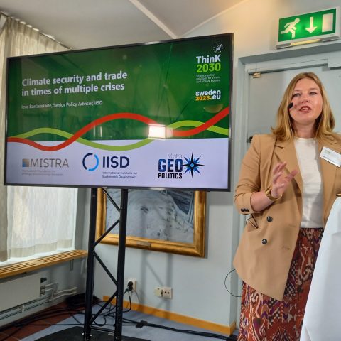 Klimat och handel i tider av kris – Session brief från Think2030 publicerad