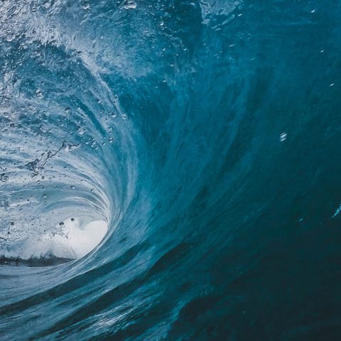 Mistras årsrapport 2022