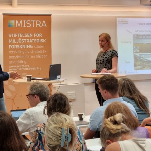 Morot och piska för att nå ett hållbart livsmedelssystem