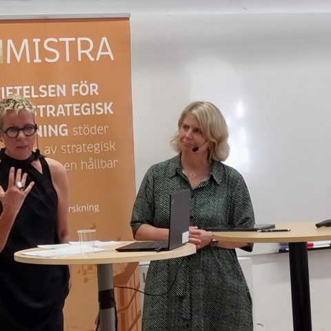 Kulturens roll för att skapa framtidstro och motivation