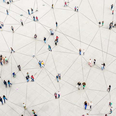 Forskningsbehov nu och framåt – 2024 öppnar vi utlysningen Mistra Utmana