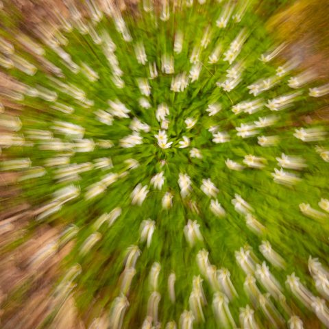 Resurseffektivitet och cirkularitet på agendan i Göteborg