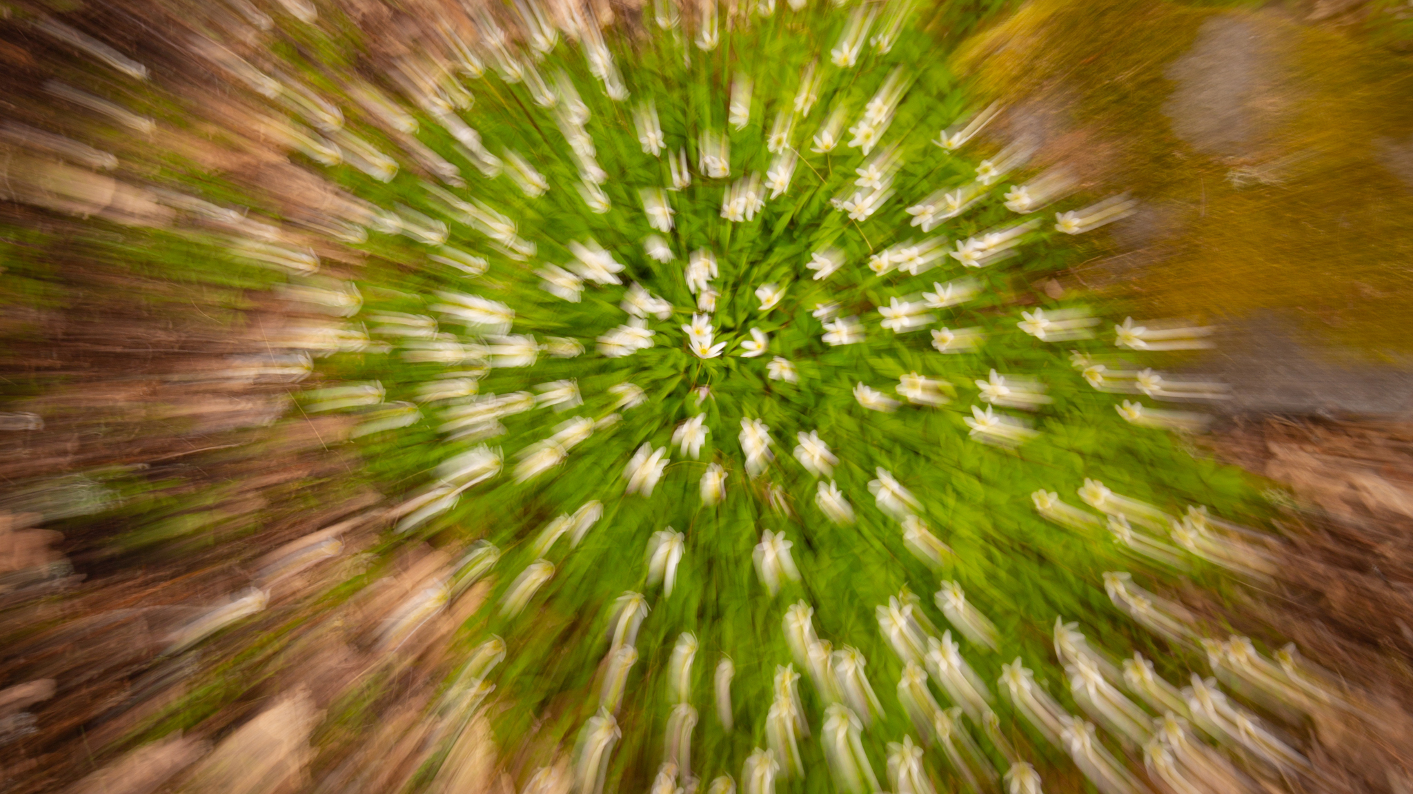 Den 12 mars anordnar Mistra ett jubileumsseminarium i Göteborg med fokus på cirkulär ekonomi.