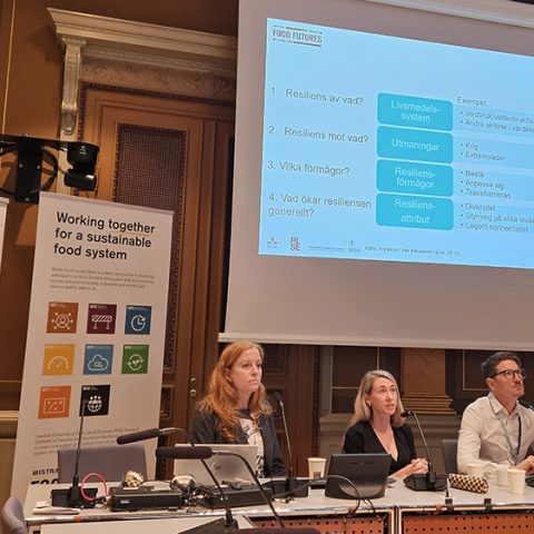 Mistra Food Futures lyfte forskning om hållbar livsmedelsberedskap i riksdagen
