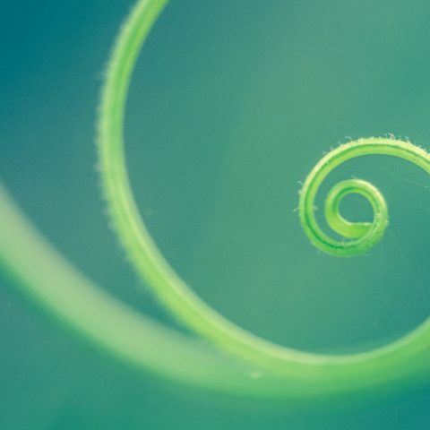 Mistras årsrapport 2023