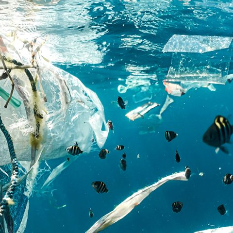 Mistra STEPS bjuder in till konferensen STEPS Towards Sustainable Plastics