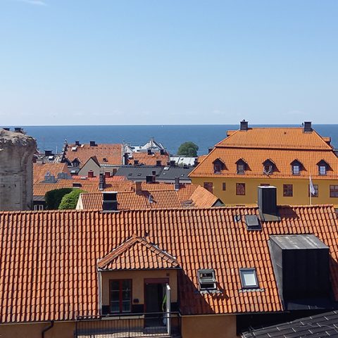 Mistraprogram i Almedalen 2025