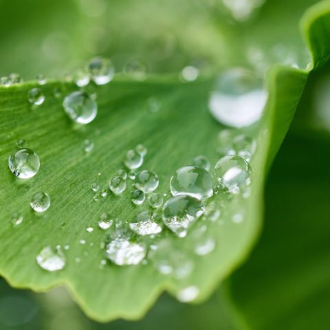 Vi utforskar nya forskningsområden