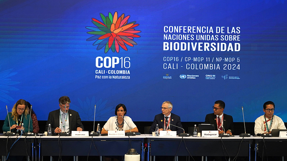 Mistra FinBio och Mistra BIOPATH bevakar COP16
