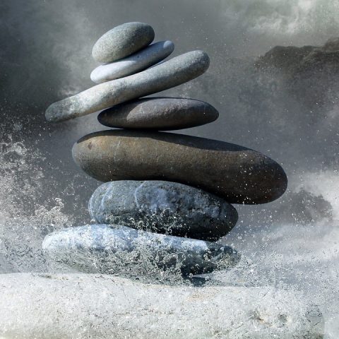 40 MSEK för forskning om korruption och miljöbrott