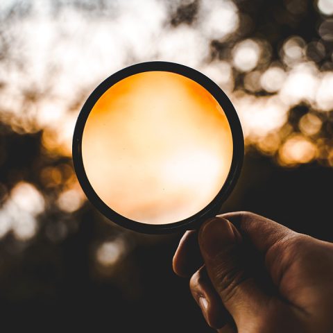 Utvärdering av Mistras verksamhet