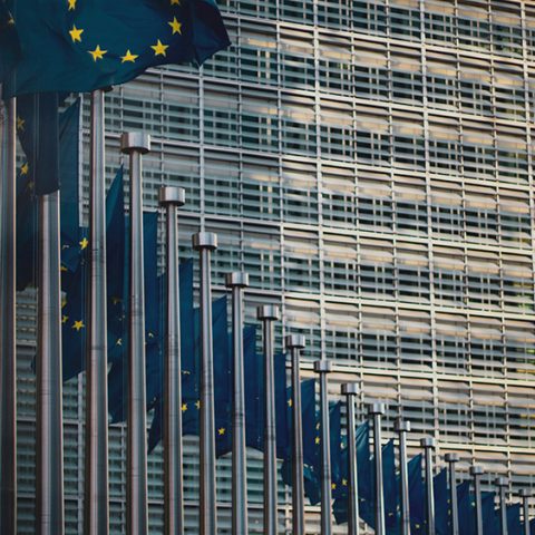 EU Green Policy Tracker – nytt verktyg genomlyser EU:s miljö- och klimatpolitik